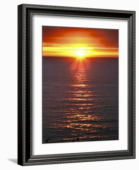 The Sun-Adrian Campfield-Framed Photographic Print