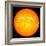 The Sun-null-Framed Photographic Print