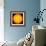 The Sun-null-Framed Photographic Print displayed on a wall
