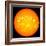 The Sun-null-Framed Photographic Print