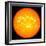 The Sun-null-Framed Photographic Print