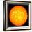 The Sun-null-Framed Photographic Print