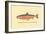 The Sunapee Trout-H.h. Leonard-Framed Art Print