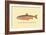 The Sunapee Trout-H.h. Leonard-Framed Art Print