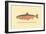 The Sunapee Trout-H.h. Leonard-Framed Art Print