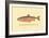 The Sunapee Trout-H.h. Leonard-Framed Art Print