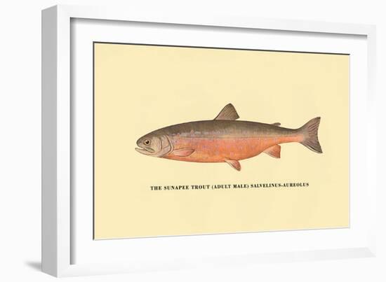 The Sunapee Trout-H.h. Leonard-Framed Art Print