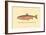 The Sunapee Trout-H.h. Leonard-Framed Art Print