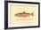 The Sunapee Trout-H.h. Leonard-Framed Art Print