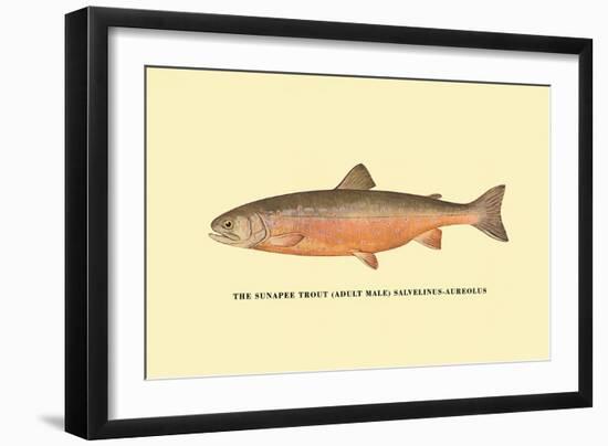 The Sunapee Trout-H.h. Leonard-Framed Art Print