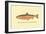 The Sunapee Trout-H.h. Leonard-Framed Art Print