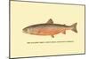 The Sunapee Trout-H.h. Leonard-Mounted Art Print