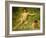 The Sunbathers-Henry Scott Tuke-Framed Giclee Print