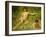 The Sunbathers-Henry Scott Tuke-Framed Giclee Print