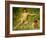 The Sunbathers-Henry Scott Tuke-Framed Giclee Print