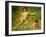 The Sunbathers-Henry Scott Tuke-Framed Giclee Print