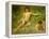 The Sunbathers-Henry Scott Tuke-Framed Premier Image Canvas