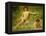 The Sunbathers-Henry Scott Tuke-Framed Premier Image Canvas