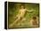 The Sunbathers-Henry Scott Tuke-Framed Premier Image Canvas