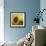 The Sunflower-Chris Ross Williamson-Framed Giclee Print displayed on a wall