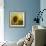 The Sunflower-Chris Ross Williamson-Framed Giclee Print displayed on a wall