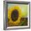 The Sunflower-Chris Ross Williamson-Framed Giclee Print