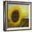 The Sunflower-Chris Ross Williamson-Framed Giclee Print