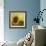 The Sunflower-Chris Ross Williamson-Framed Giclee Print displayed on a wall