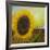 The Sunflower-Chris Ross Williamson-Framed Giclee Print