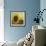 The Sunflower-Chris Ross Williamson-Framed Giclee Print displayed on a wall