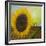 The Sunflower-Chris Ross Williamson-Framed Giclee Print