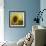 The Sunflower-Chris Ross Williamson-Framed Giclee Print displayed on a wall