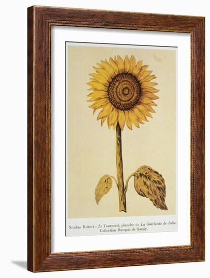 The Sunflower-Nicolas Robert-Framed Giclee Print