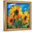 The Sunflowers-balaikin2009-Framed Stretched Canvas