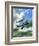 The Supermarine Spitfire Mark Ix-Wilf Hardy-Framed Giclee Print