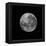 The Supermoon of March 19, 2011-Stocktrek Images-Framed Premier Image Canvas