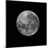 The Supermoon of March 19, 2011-Stocktrek Images-Mounted Photographic Print