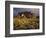 The Superstition Mountains in Lost Dutchman State Park, Arizona-Greg Probst-Framed Photographic Print