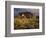 The Superstition Mountains in Lost Dutchman State Park, Arizona-Greg Probst-Framed Photographic Print