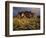 The Superstition Mountains in Lost Dutchman State Park, Arizona-Greg Probst-Framed Photographic Print