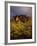 The Superstition Mountains in Lost Dutchman State Park, Arizona-Greg Probst-Framed Photographic Print