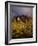 The Superstition Mountains in Lost Dutchman State Park, Arizona-Greg Probst-Framed Photographic Print