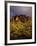 The Superstition Mountains in Lost Dutchman State Park, Arizona-Greg Probst-Framed Photographic Print