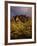 The Superstition Mountains in Lost Dutchman State Park, Arizona-Greg Probst-Framed Photographic Print