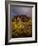 The Superstition Mountains in Lost Dutchman State Park, Arizona-Greg Probst-Framed Photographic Print