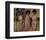 The Supremes-null-Framed Photo