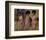 The Supremes-null-Framed Photo