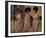 The Supremes-null-Framed Photo