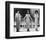 The Supremes-null-Framed Photo