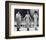 The Supremes-null-Framed Photo